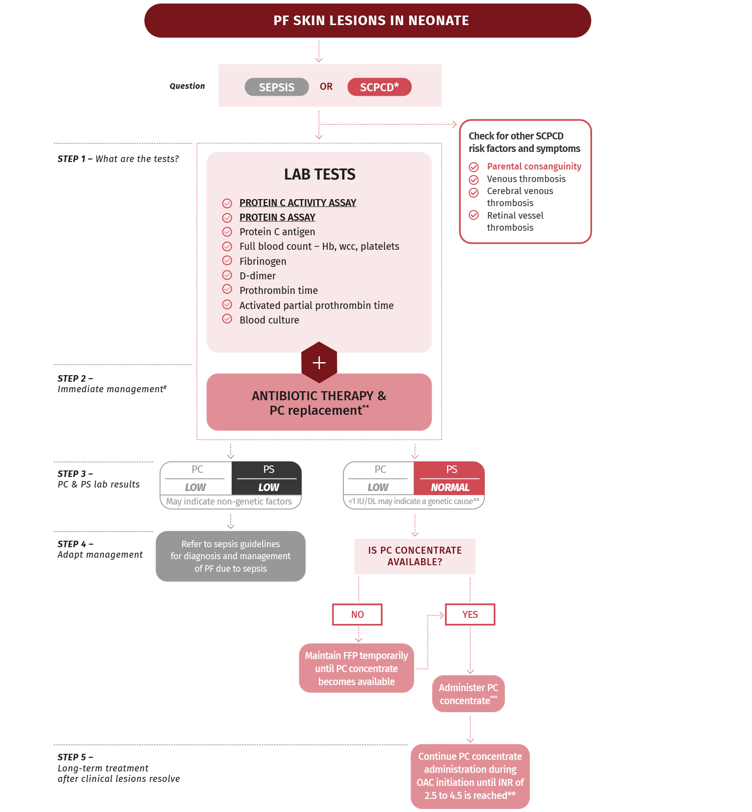 Decision Action Tool Desktop